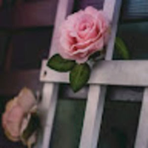 Meet your Posher, Lorena